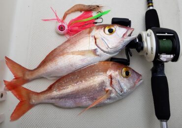 Noleggio barche Santa Margherita Ligure Portofino Pesca Sportiva Noleggio barche Santa Margherita Ligure Portofino Pesca Sportiva